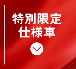 特別限定仕様車
