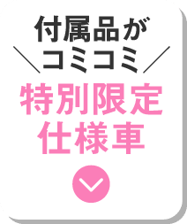 特別限定仕様車